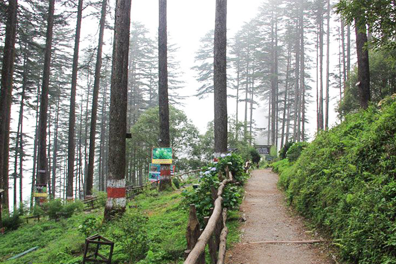Mount view Dhanaulti